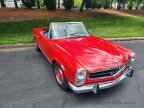 Thumbnail Photo 2 for 1967 Mercedes-Benz 250SL