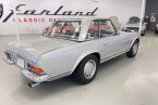 Thumbnail Photo 1 for 1967 Mercedes-Benz 250SL