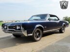 Thumbnail Photo 3 for 1967 Oldsmobile 442