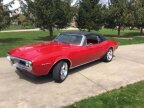 Thumbnail Photo 2 for 1967 Pontiac Firebird