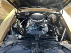 Thumbnail Photo 2 for 1967 Pontiac Firebird