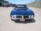 Thumbnail Photo 3 for 1967 Pontiac Firebird