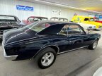Thumbnail Photo 4 for 1967 Pontiac Firebird