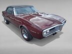Thumbnail Photo 4 for 1967 Pontiac Firebird Convertible