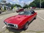 Thumbnail Photo 3 for 1967 Pontiac Firebird