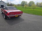 Thumbnail Photo 2 for 1967 Pontiac Firebird Convertible for Sale by Owner