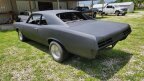 Thumbnail Photo 3 for 1967 Pontiac GTO