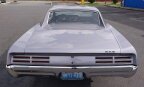 Thumbnail Photo 3 for 1967 Pontiac GTO for Sale by Owner