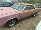 Thumbnail Photo 3 for 1967 Pontiac GTO