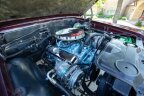 Thumbnail Photo 5 for 1967 Pontiac GTO