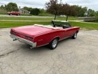 Thumbnail Photo 4 for 1967 Pontiac GTO