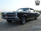 Thumbnail Photo 3 for 1967 Pontiac GTO