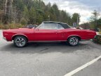 Thumbnail Photo 4 for 1967 Pontiac Other Pontiac Models