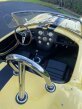 Thumbnail Photo 2 for 1967 Shelby Cobra