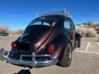 Thumbnail Photo 1 for 1967 Volkswagen Beetle