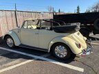 Thumbnail Photo 1 for 1967 Volkswagen Beetle