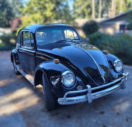 Photo 1 for 1967 Volkswagen Beetle Coupe for Sale by Owner