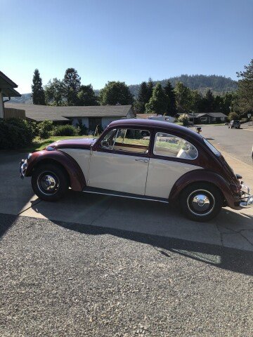 1967 Volkswagen Beetle