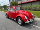 1967 Volkswagen Beetle