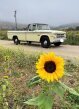 Thumbnail Photo 5 for 1968 Dodge D/W Truck