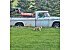 1968 Dodge D/W Truck
