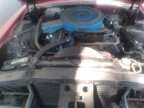 Thumbnail Photo 1 for 1968 Ford Thunderbird