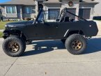 Thumbnail Photo 5 for 1968 Jeep Commando