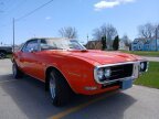 Thumbnail Photo 6 for 1968 Pontiac Firebird