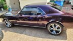 Thumbnail Photo 4 for 1968 Pontiac Firebird Coupe for Sale by Owner