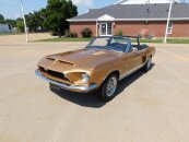 1968 Shelby GT350