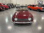 Thumbnail Photo 2 for 1968 Triumph TR250