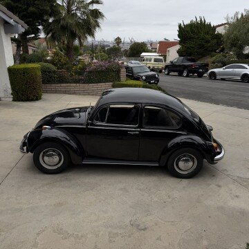 1968 Volkswagen Beetle Coupe