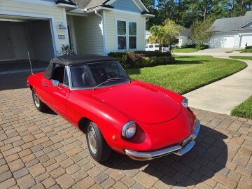 1969 Alfa Romeo Spider