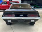 Thumbnail Photo 6 for 1969 Chevrolet Camaro RS