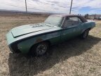 Thumbnail Photo 3 for 1969 Chevrolet Camaro