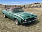 Thumbnail Photo 1 for 1969 Chevrolet Camaro