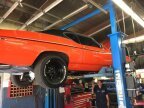 Thumbnail Photo 6 for 1969 Chevrolet Chevelle SS