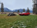 Thumbnail Photo 6 for 1969 Chevrolet Chevelle