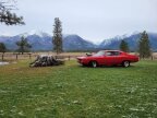Thumbnail Photo 5 for 1969 Chevrolet Chevelle