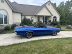 Thumbnail Photo 2 for 1969 Chevrolet Chevelle SS