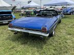 Thumbnail Photo 3 for 1969 Chevrolet Chevelle SS