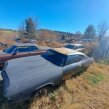 Thumbnail Photo 5 for 1969 Chevrolet Chevelle SS