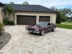 Thumbnail Photo 6 for 1969 Chevrolet Chevelle SS for Sale by Owner