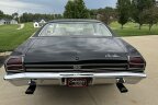 Thumbnail Photo 3 for 1969 Chevrolet Chevelle SS