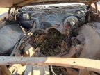 Thumbnail Photo 5 for 1969 Chevrolet Impala