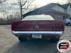 Thumbnail Photo 4 for 1969 Ford Mustang Fastback