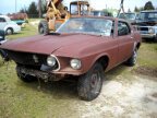 Thumbnail Photo 1 for 1969 Ford Mustang