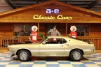 Thumbnail Photo 1 for 1969 Ford Mustang