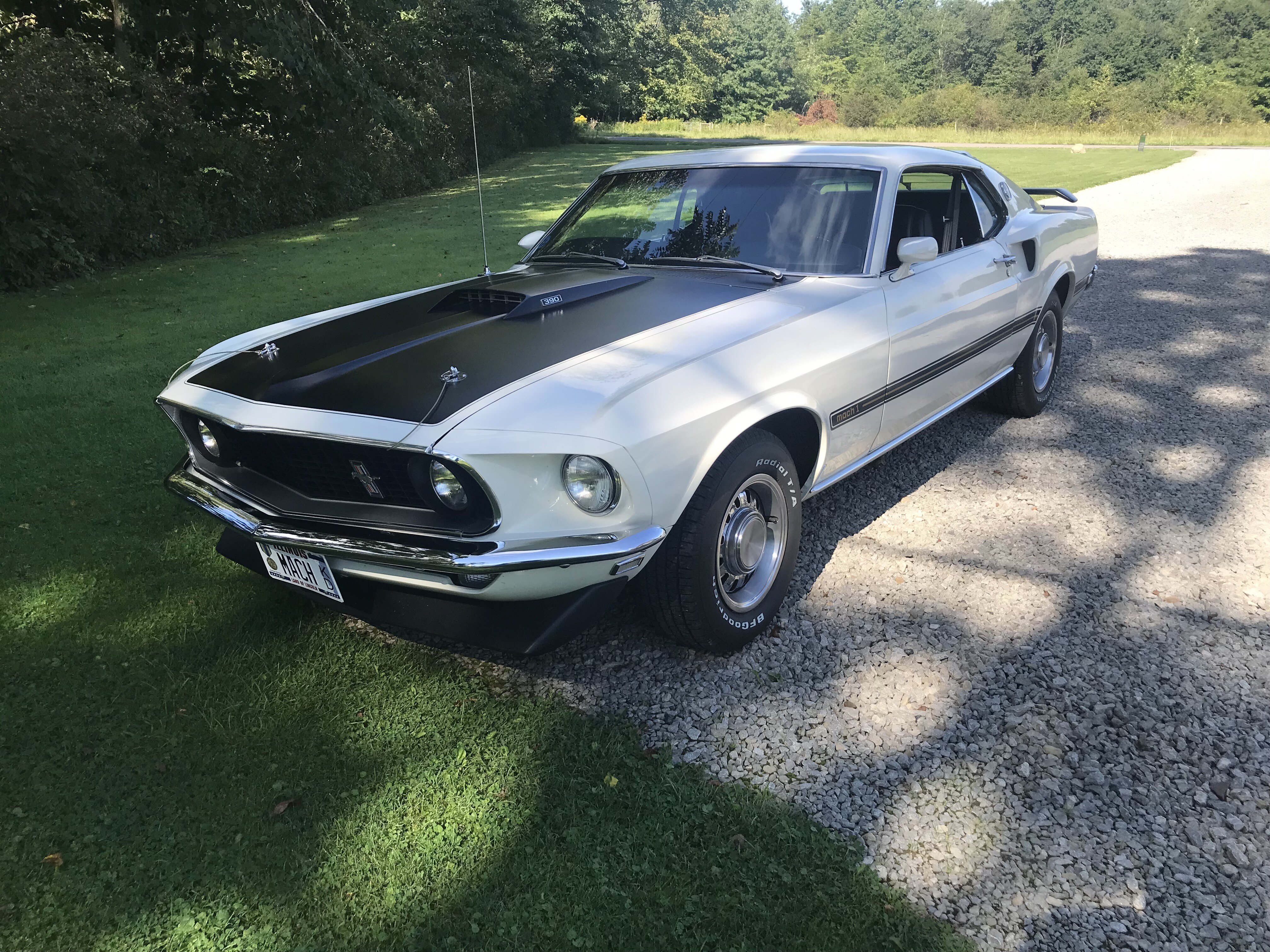 1969 Ford Mustang 390 S-Code