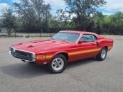 1969 Ford Mustang Shelby GT350
